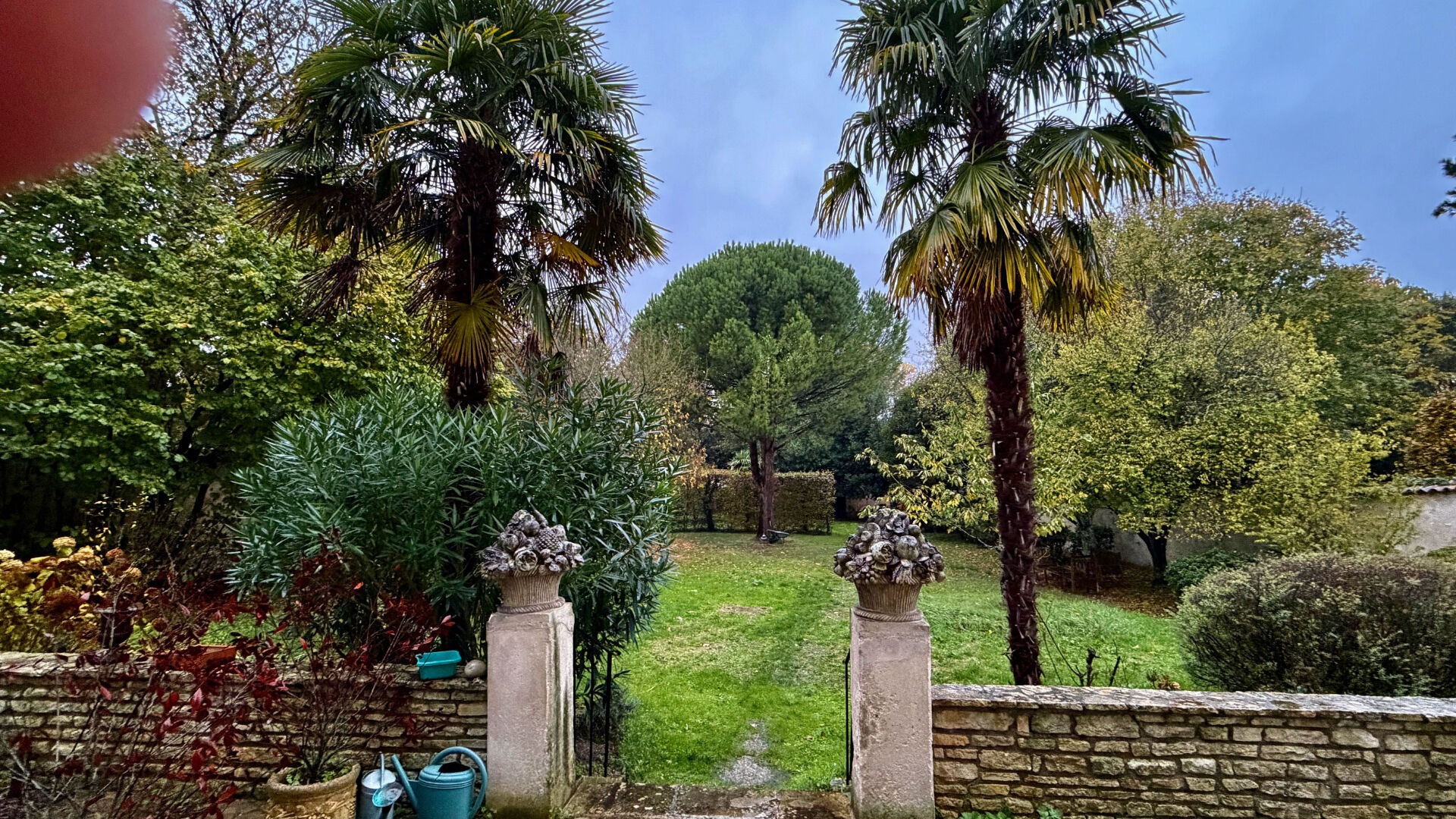 Property view 2