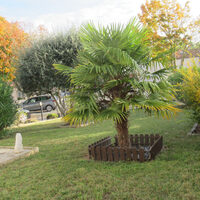 property picture